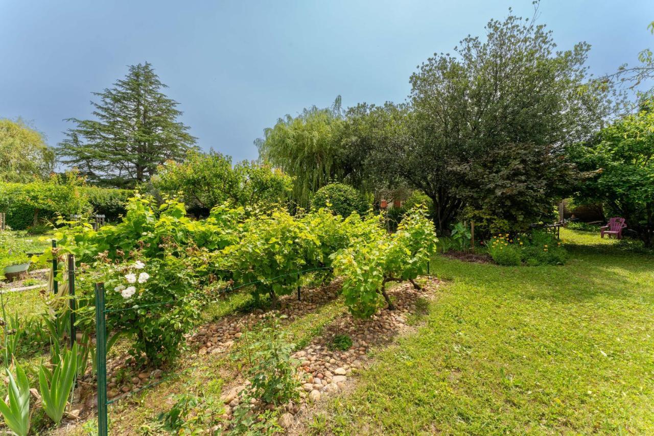 Villa La Mireio Malaucène Exteriér fotografie